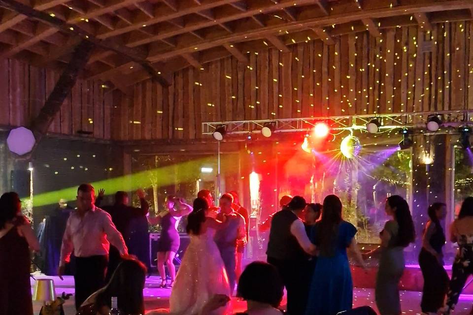 Zenith Producciones, Música